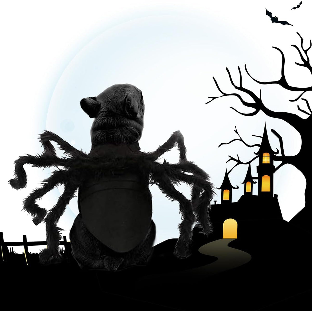 Halloween Spider - Dog Costume