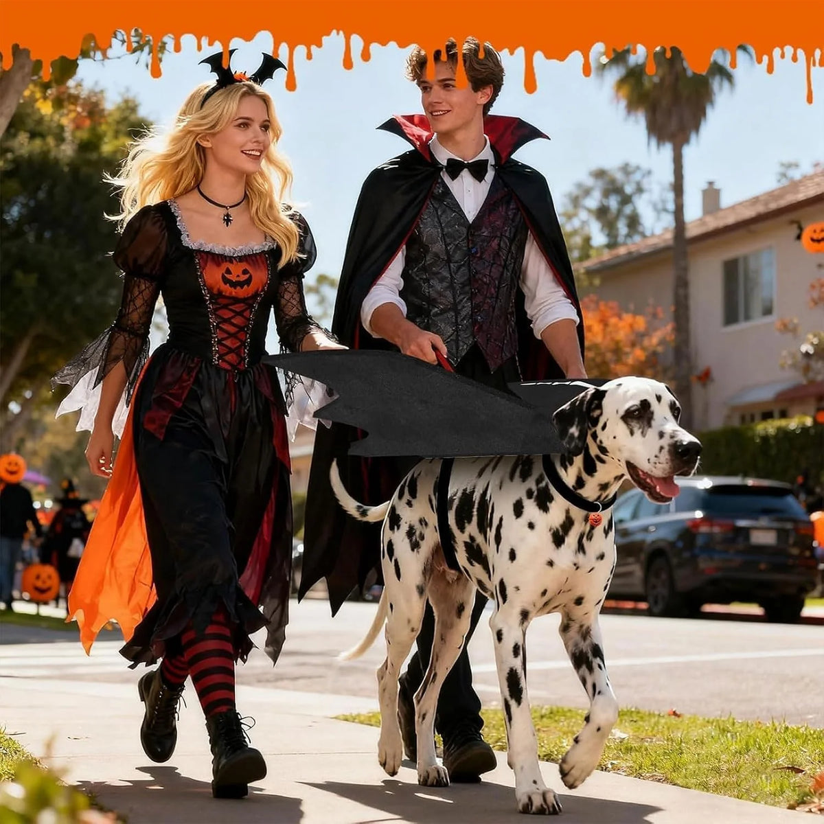 Halloween Bat Wings - Dog Costume