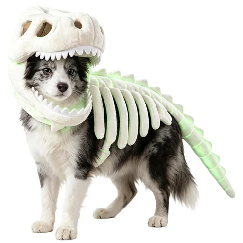 Dinosaur Skeleton - Pet Costume