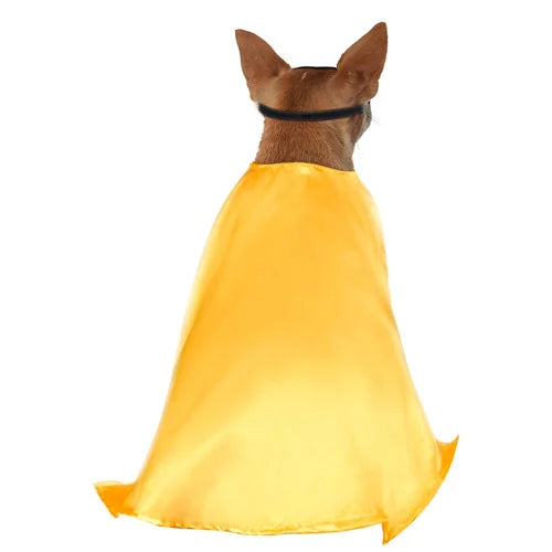Robin - Dog Costume