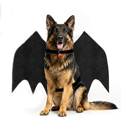 Halloween Bat Wings - Dog Costume