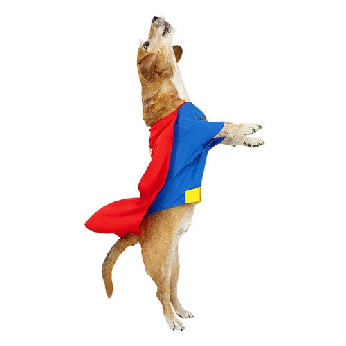 Superman - Dog Costume