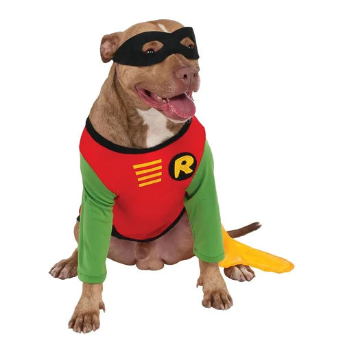 Robin - Dog Costume