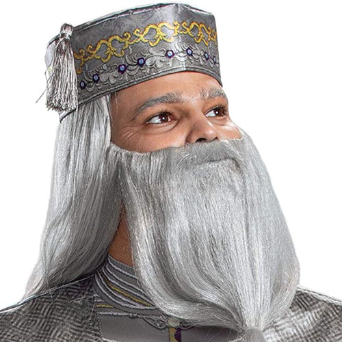 Dumbledore (Harry Potter) - Adult Costume