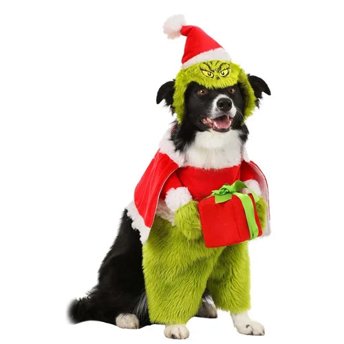 Grinch - Dog Costume
