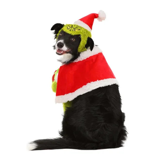 Grinch - Dog Costume