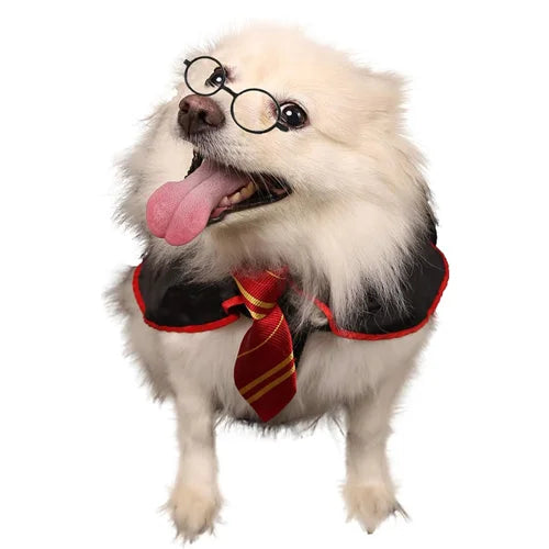 Harry Potter - Dog Costume