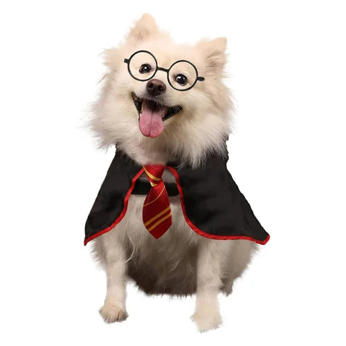 Harry Potter - Dog Costume