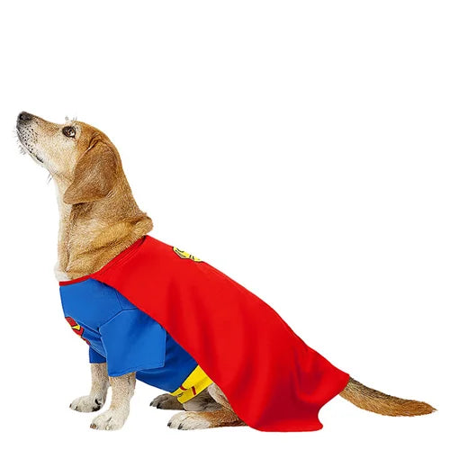 Superman - Dog Costume