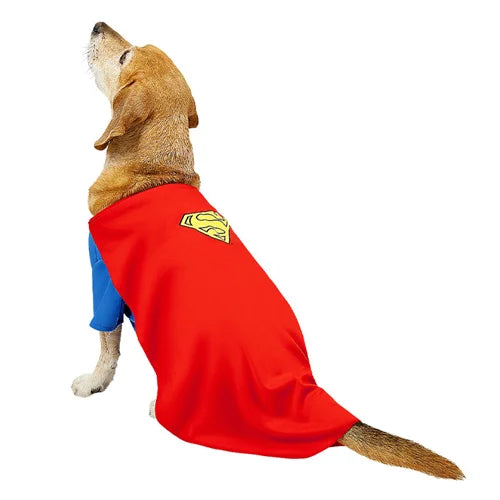 Superman - Dog Costume