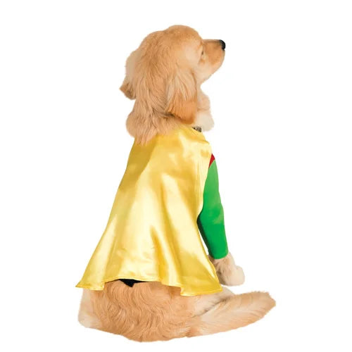 Robin - Dog Costume