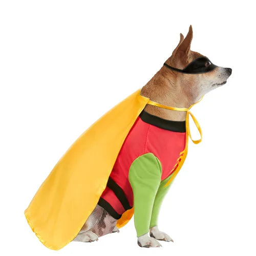 Robin - Dog Costume