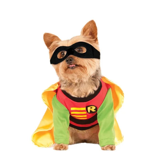 Robin - Dog Costume