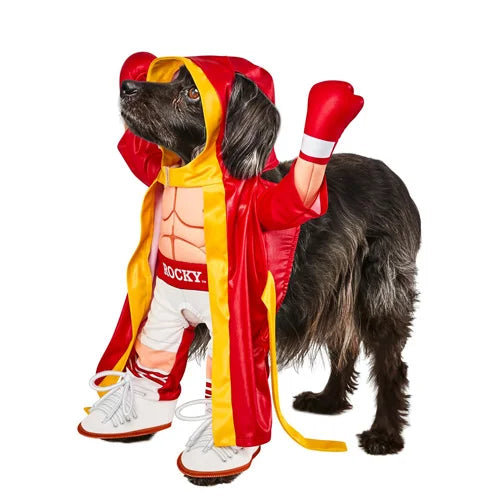 Rocky - Dog Costume