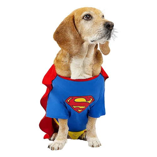 Superman - Dog Costume