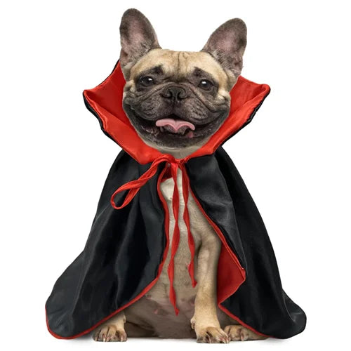 Vampire - Dog Costume